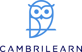 Web Development & Automation Specialist image