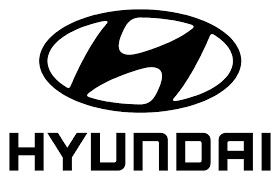 Driver (Hyundai Boksburg) image