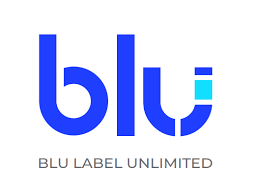 Business Intelligence Developer image